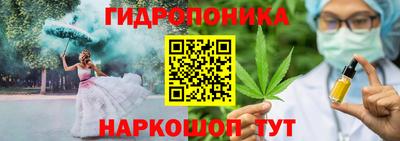 стафф Свободный