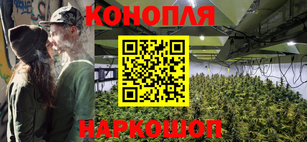 Бошки марихуана ГИДРОПОН Балаково